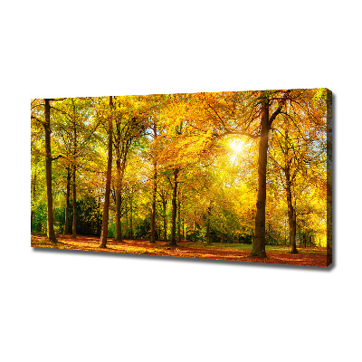 Cuadro canvas con impresión uv duradera horizontal Bosque en otoño