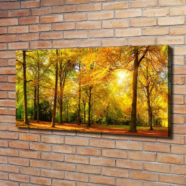 Cuadro canvas con impresión uv duradera horizontal Bosque en otoño