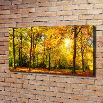 Cuadro canvas con impresión uv duradera horizontal Bosque en otoño