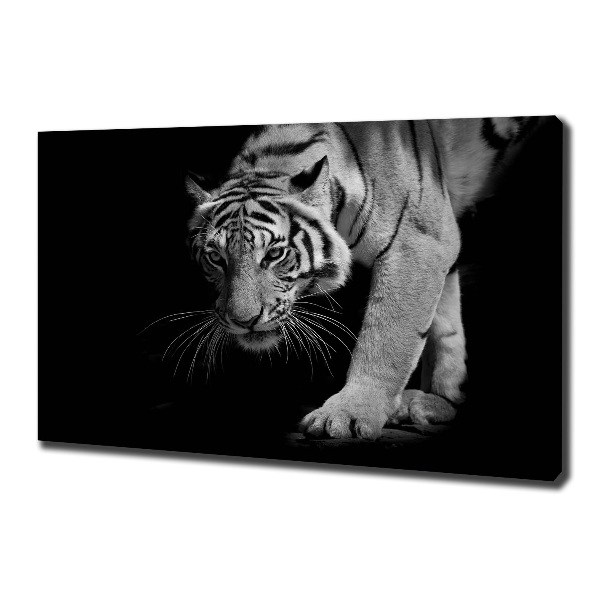 Cuadro canvas con impresión uv duradera horizontal Tigre
