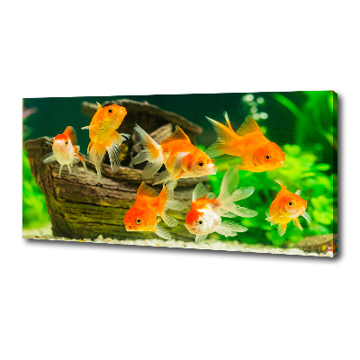 Cuadro canvas moderno de gran formato horizontal Pez de colores