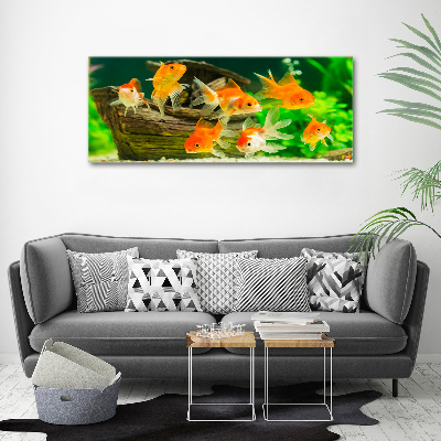 Cuadro canvas moderno de gran formato horizontal Pez de colores