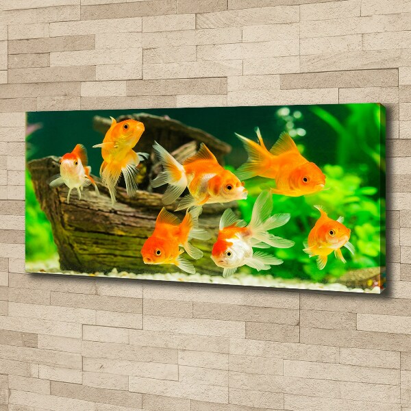 Cuadro canvas moderno de gran formato horizontal Pez de colores