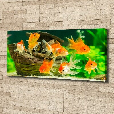 Cuadro canvas moderno de gran formato horizontal Pez de colores