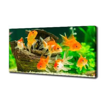 Cuadro canvas moderno de gran formato horizontal Pez de colores