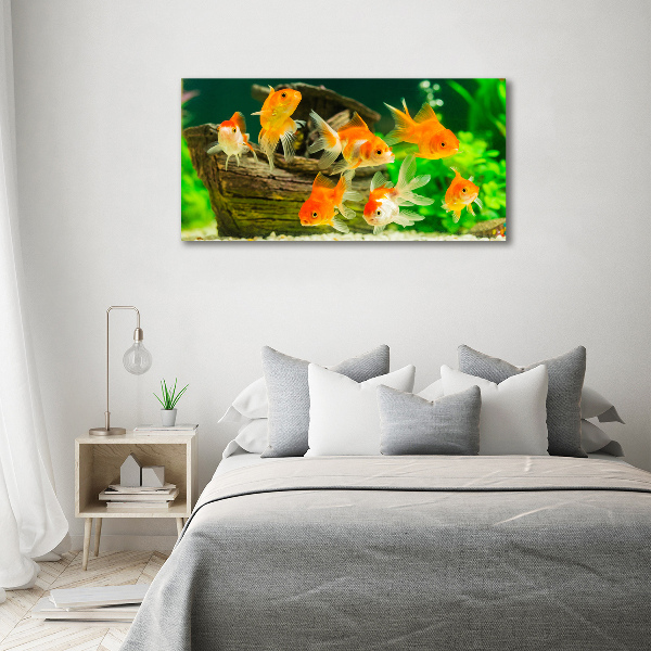 Cuadro canvas moderno de gran formato horizontal Pez de colores