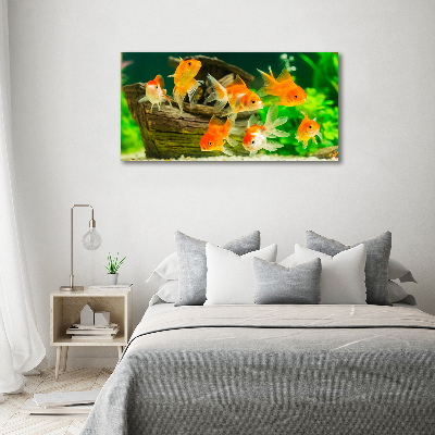 Cuadro canvas moderno de gran formato horizontal Pez de colores