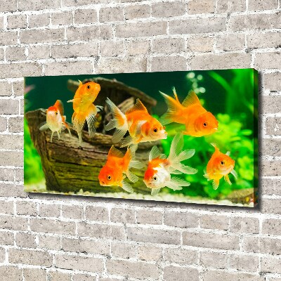 Cuadro canvas moderno de gran formato horizontal Pez de colores