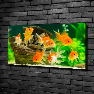 Cuadro canvas moderno de gran formato horizontal Pez de colores