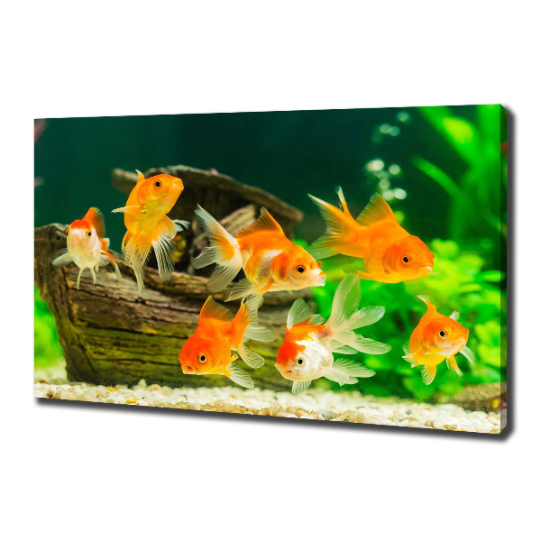 Cuadro canvas moderno de gran formato horizontal Pez de colores