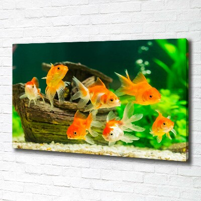 Cuadro canvas moderno de gran formato horizontal Pez de colores