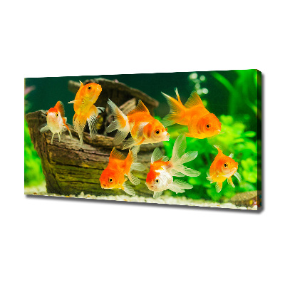 Cuadro canvas moderno de gran formato horizontal Pez de colores