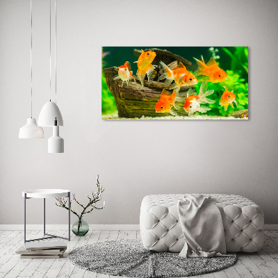 Cuadro canvas moderno de gran formato horizontal Pez de colores