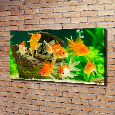 Cuadro canvas moderno de gran formato horizontal Pez de colores