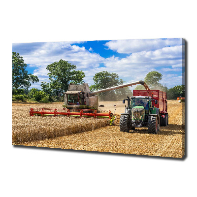 Cuadro canvas con impresión uv duradera horizontal Cosechadora y tractor