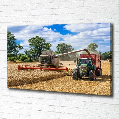 Cuadro canvas con impresión uv duradera horizontal Cosechadora y tractor