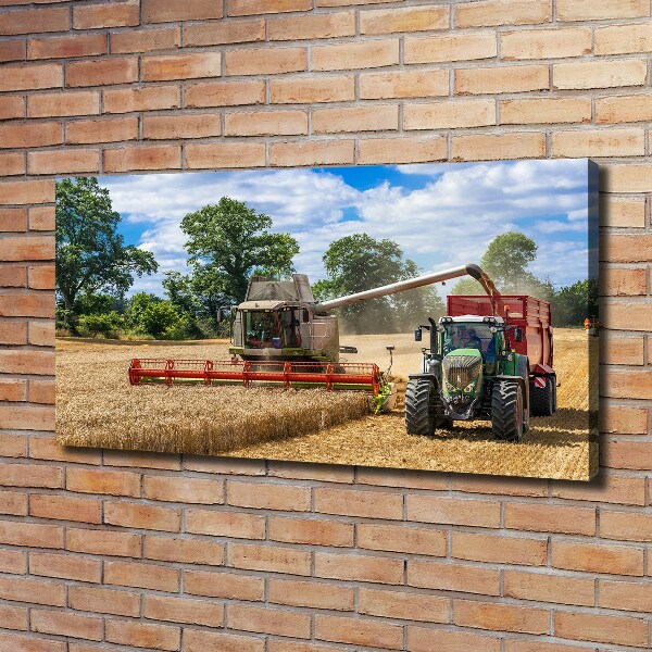 Cuadro canvas con impresión uv duradera horizontal Cosechadora y tractor
