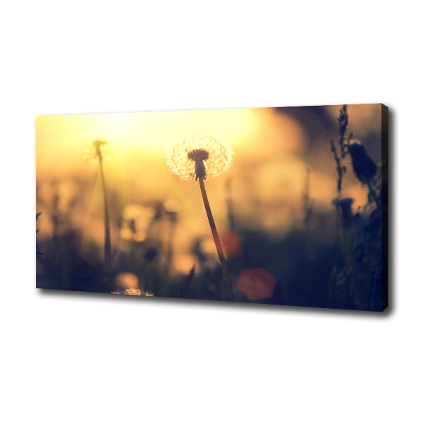 Cuadro canvas moderno de gran formato horizontal Diente de león