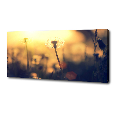 Cuadro canvas moderno de gran formato horizontal Diente de león