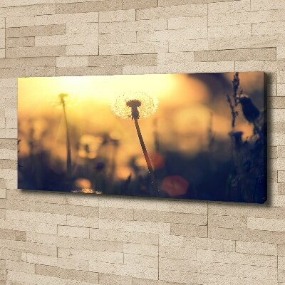 Cuadro canvas moderno de gran formato horizontal Diente de león