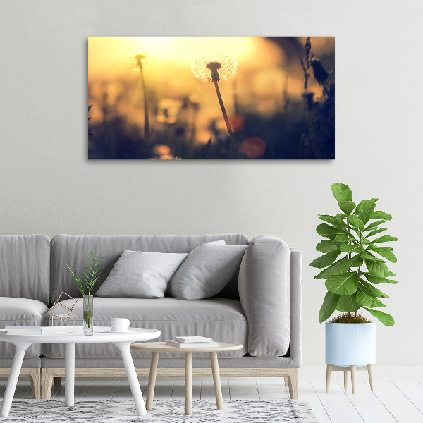 Cuadro canvas moderno de gran formato horizontal Diente de león