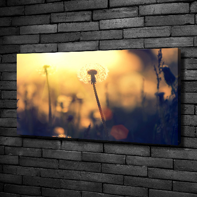 Cuadro canvas moderno de gran formato horizontal Diente de león