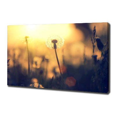 Cuadro canvas moderno de gran formato horizontal Diente de león