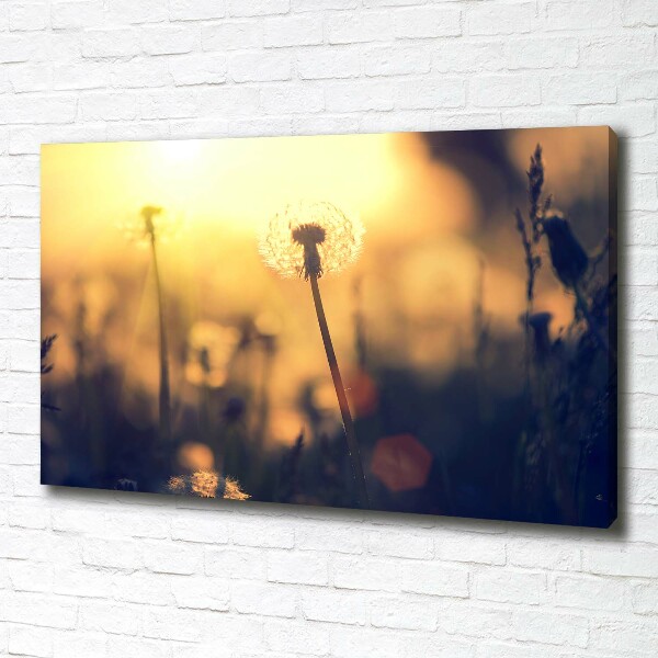 Cuadro canvas moderno de gran formato horizontal Diente de león