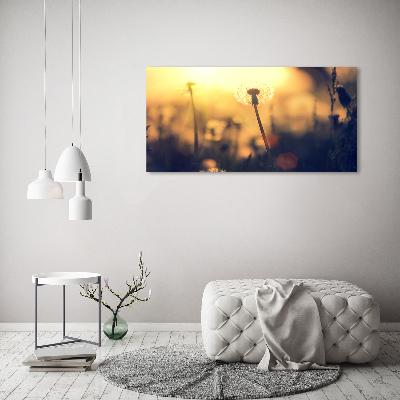 Cuadro canvas moderno de gran formato horizontal Diente de león