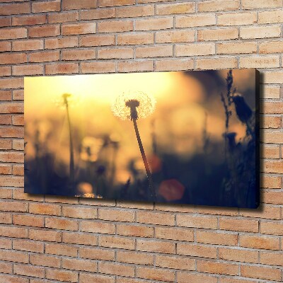 Cuadro canvas moderno de gran formato horizontal Diente de león