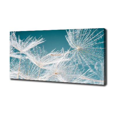 Cuadro canvas moderno de gran formato horizontal semillas de diente de león