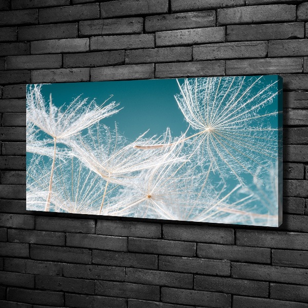 Cuadro canvas moderno de gran formato horizontal semillas de diente de león