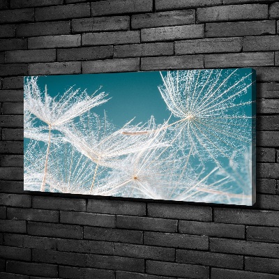 Cuadro canvas moderno de gran formato horizontal semillas de diente de león