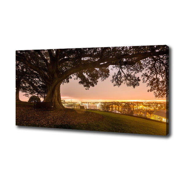 Cuadro canvas moderno de gran formato horizontal Árbol viejo