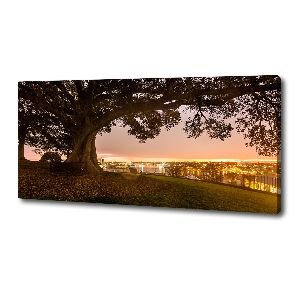 Cuadro canvas moderno de gran formato horizontal Árbol viejo