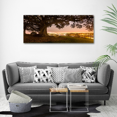 Cuadro canvas moderno de gran formato horizontal Árbol viejo