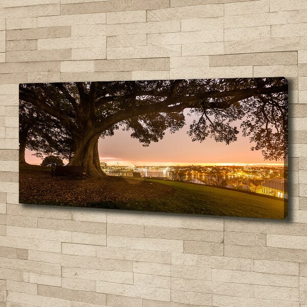 Cuadro canvas moderno de gran formato horizontal Árbol viejo