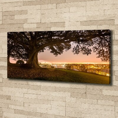 Cuadro canvas moderno de gran formato horizontal Árbol viejo