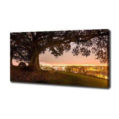 Cuadro canvas moderno de gran formato horizontal Árbol viejo