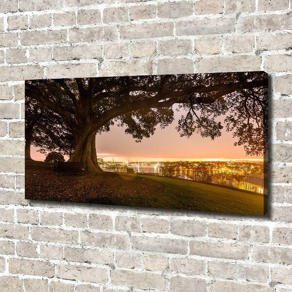 Cuadro canvas moderno de gran formato horizontal Árbol viejo