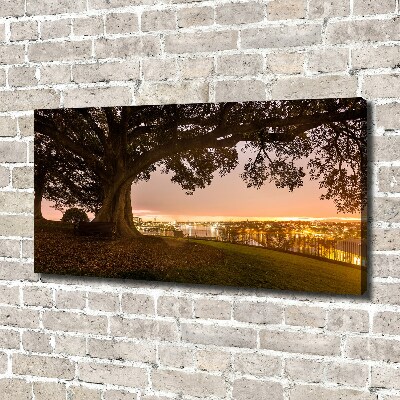 Cuadro canvas moderno de gran formato horizontal Árbol viejo