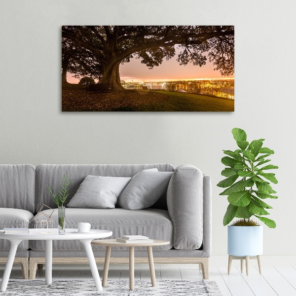 Cuadro canvas moderno de gran formato horizontal Árbol viejo