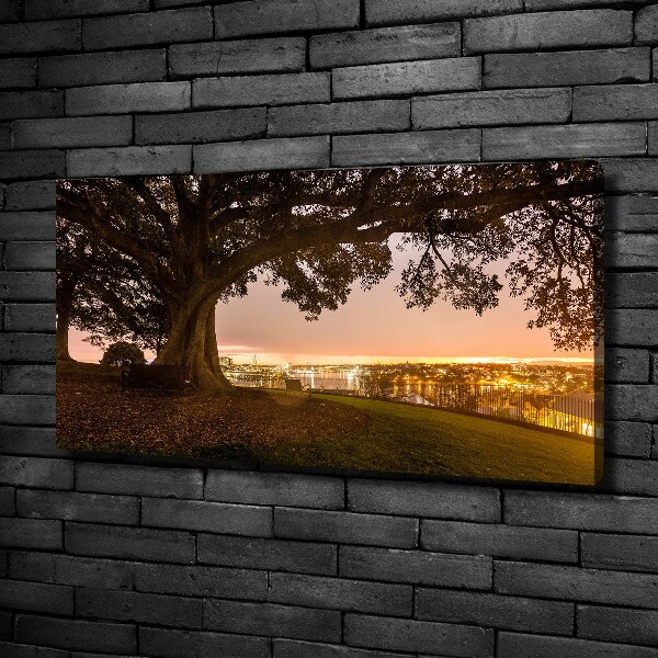 Cuadro canvas moderno de gran formato horizontal Árbol viejo