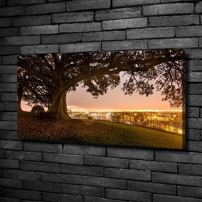 Cuadro canvas moderno de gran formato horizontal Árbol viejo