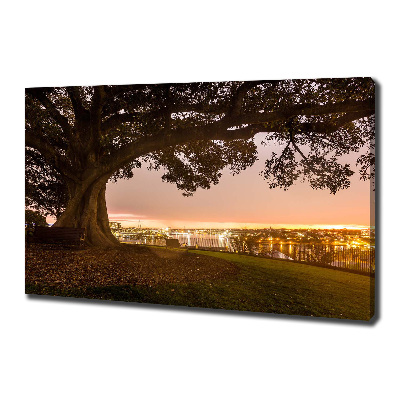 Cuadro canvas moderno de gran formato horizontal Árbol viejo