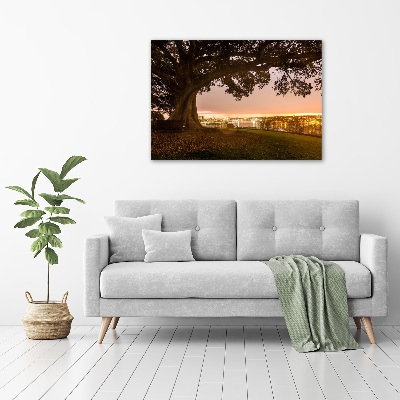 Cuadro canvas moderno de gran formato horizontal Árbol viejo