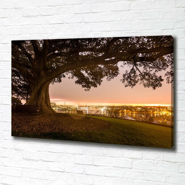 Cuadro canvas moderno de gran formato horizontal Árbol viejo