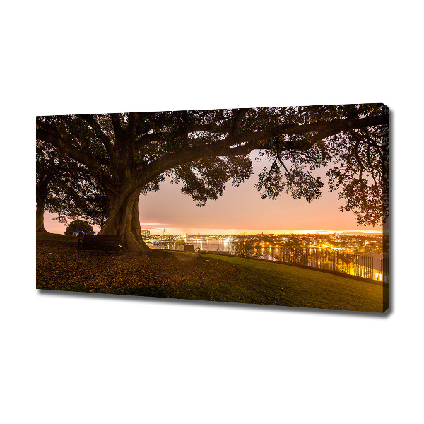 Cuadro canvas moderno de gran formato horizontal Árbol viejo