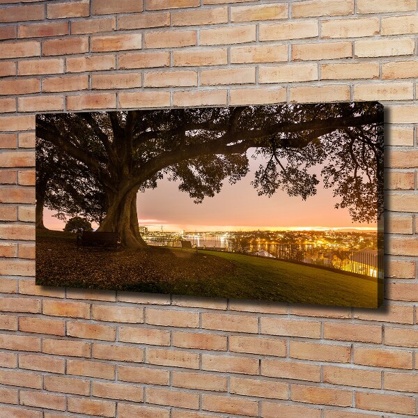 Cuadro canvas moderno de gran formato horizontal Árbol viejo