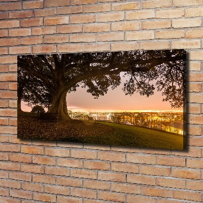 Cuadro canvas moderno de gran formato horizontal Árbol viejo